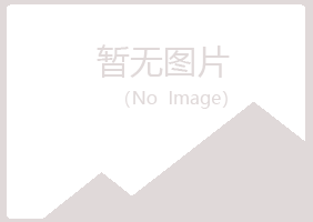 赤峰红山藏心化学有限公司